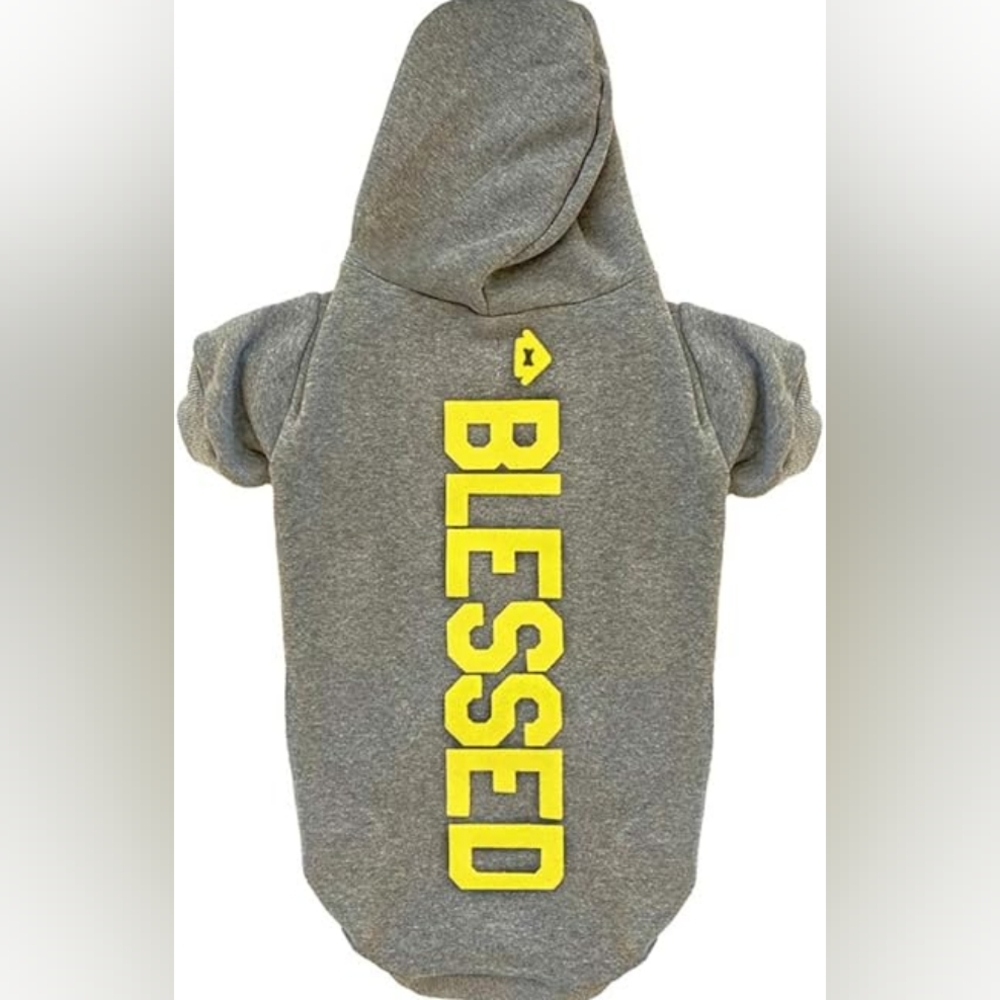 NWT Free People Dog Blessed Hoodie